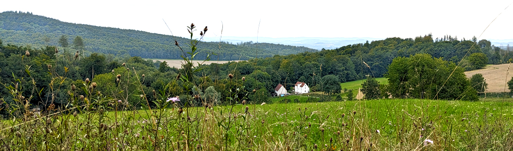 Blick zum Teutoburger Wald
