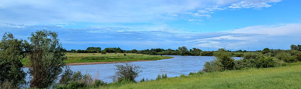 Rädigke