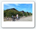 26rueg02